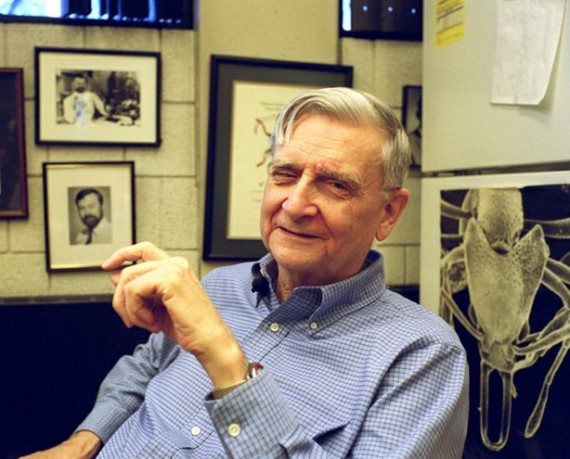 edward-wilson