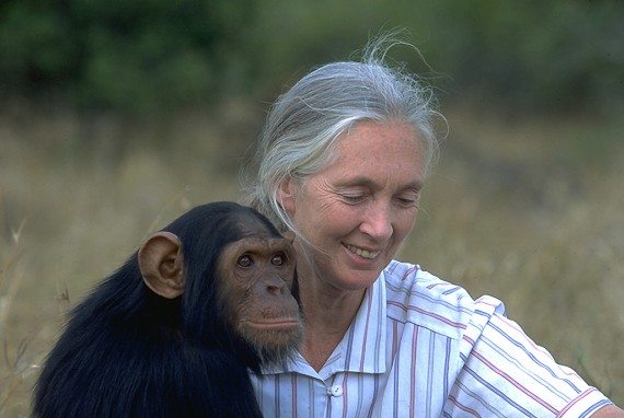 jane_goodall