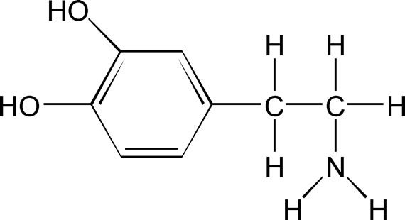 dopamine