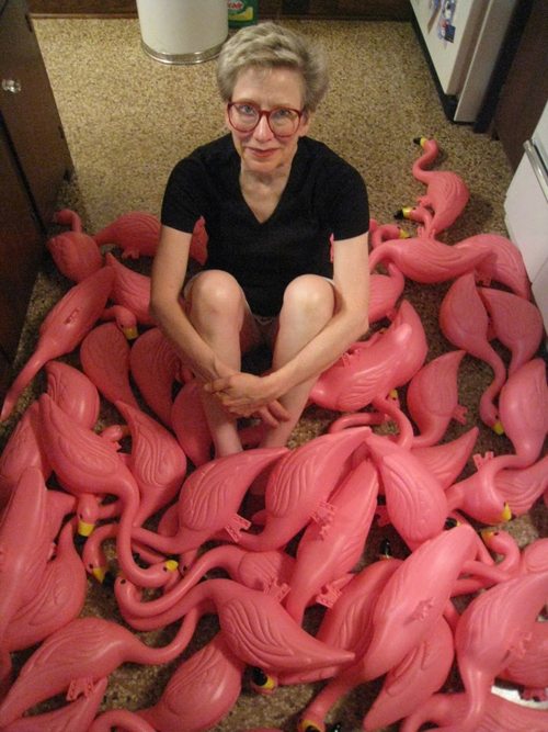 flamingos